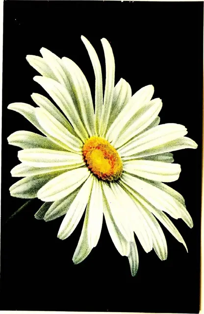 680880041534603264_0.jpg