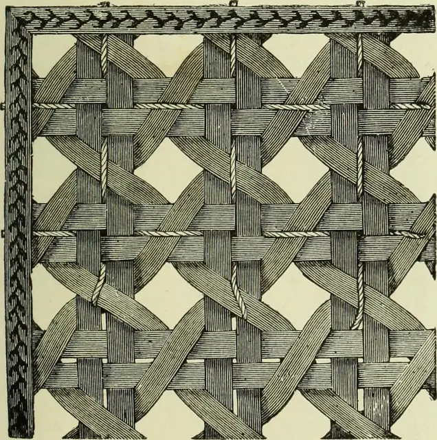681174504634007552_0.jpg