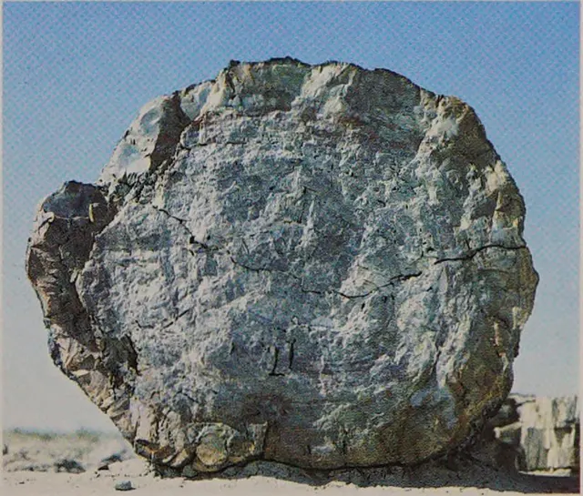 686126896399925248_0.png