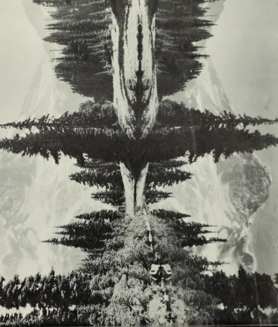 720744504465014784_0.png